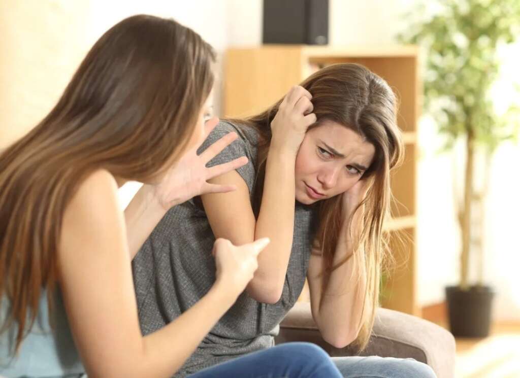 toxic siblings are quarreling.
